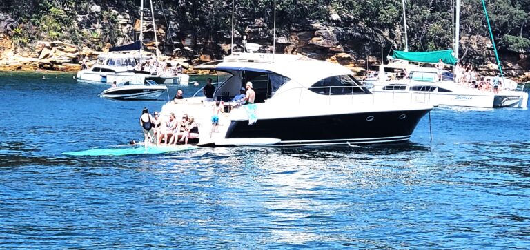 Fun on the water with the lily pad